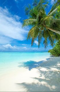 I want to go to the sea