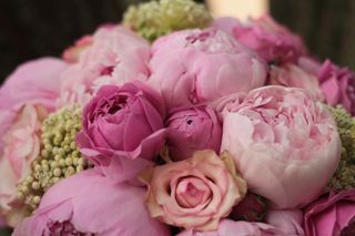 Beautiful bouquet of peonies or roses