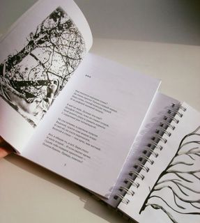 I want to publish my book