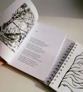 I want to publish my book