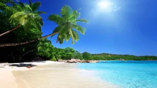 Go to the beach