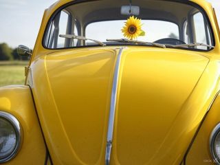 VW Bug