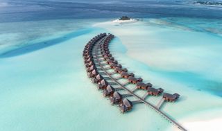 Dream trip