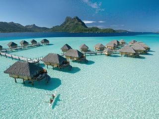 Dream