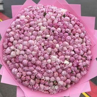 flowers pion