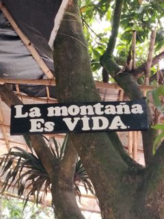 Regalo