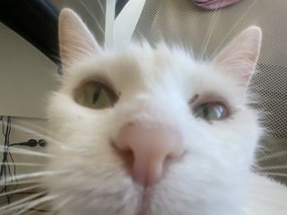 We want to pay off our loans!