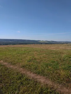 ))))