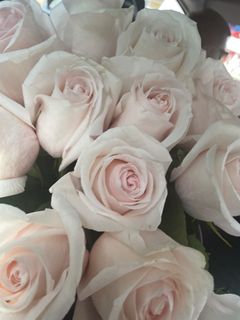 I want a lot of beautiful flowers